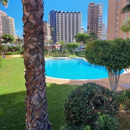Adelfas - Fincas Arena Бенидорм Экстерьер фото
