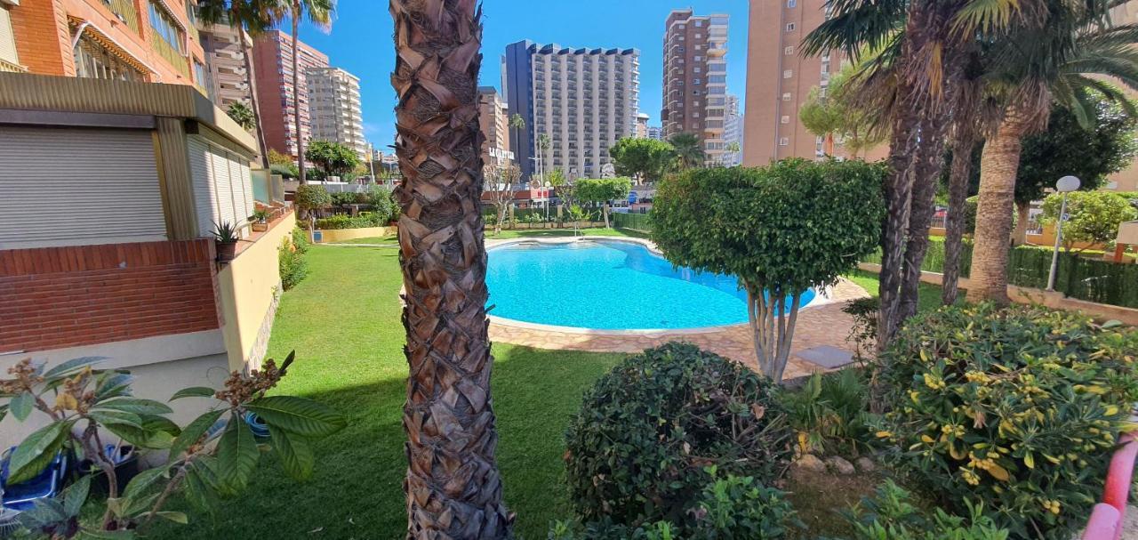 Adelfas - Fincas Arena Бенидорм Экстерьер фото